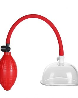 New Sex Toy Flirted Vagina Pumps Breast Enlargement Vacuum Pump Enhance Pumping Bullet Like Vibration Toy Masturbate Massage L1