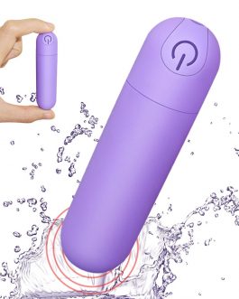 Portable Sex Toys Waterproof 10 Speed Bullet Vibrator for Clit Stimulator, USB Rechargeable Silver Bullet Vibrator For Women