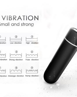 Powerful 9 Speeds Wireless Vibrator Lace Underwear Panty Sex Toys For Women Clitoral Stimulator Invisible Vibrating Bullet Egg