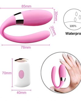 Sex Toy Wireless Remote Control Pussy Massage Massager Woman Couple Vibrator